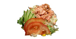 Sake salade